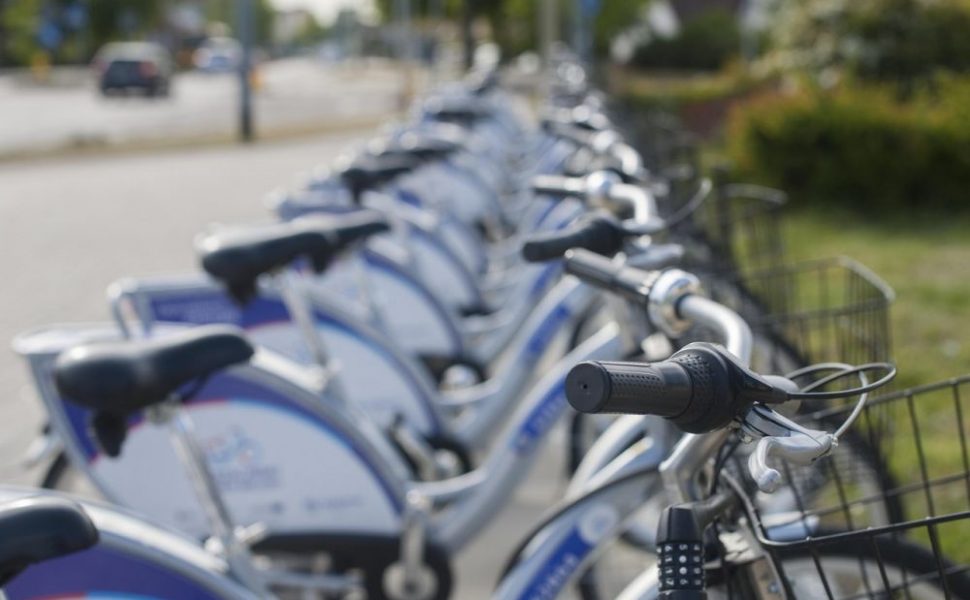 Miljö & Hållbarhet